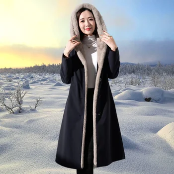 2021 Jesen In Zimo, Nove Obleke, Ženske Dolg Plašč korejska Različica Plima Imitacije Mink Notranjo Podlogo Imitacija Krzna, Plašč Ženske
