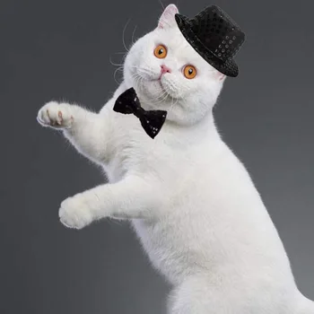 Smešno Pet Klobuk Fancy Jazz Klobuk Pokrivala Kostum Pribor Foto Rekviziti Za Mačka, Pes, Kuža Pet Klobuk Skp Cosplay Kostumi